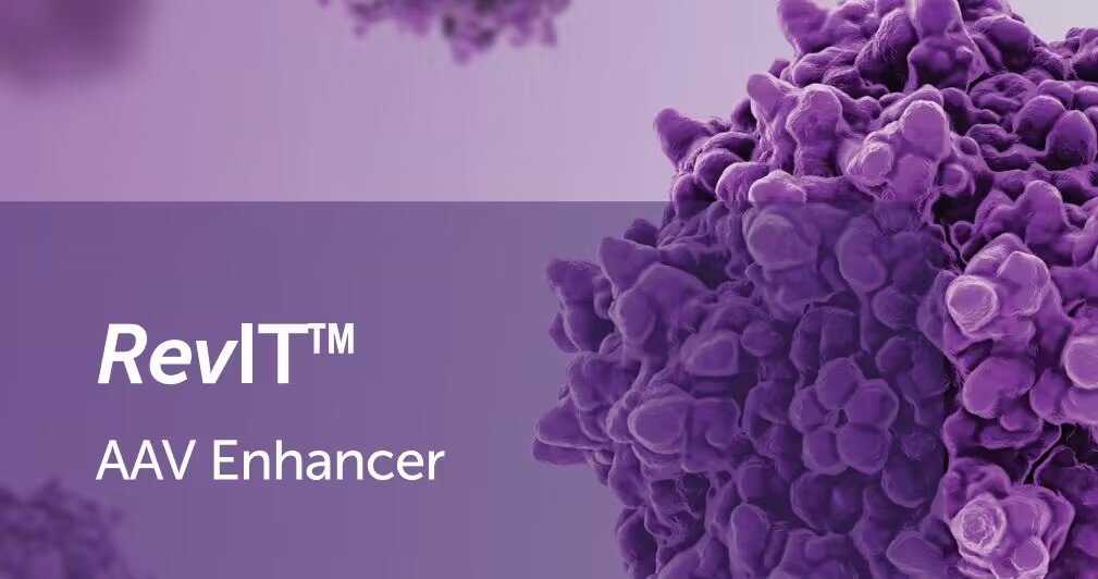 New Product Launch! Large-Pack RevIT? AAV Enhancer – Empowers Large-Scale AAV Viral Production! New Product Launch! Large-Pack RevIT? AAV Enhancer – Empowers Large-Scale AAV Viral Production!